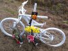 http://blogs.brocknet.net/bloviations/2010/12/16/justice-again-delayed-in-bicyclists-death/