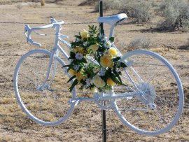 Ghost Bike for Dr. Brett Sacks