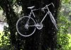 photo from the North Wales Weekly News http://www.northwalesweeklynews.co.uk/conwy-county-news/local-conwy-news/2008/10/09/ghost-bike-memorial-to-talented-llanrwst-musician-55243-21994115/