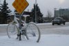 Photo taken from the Anchorage Press
