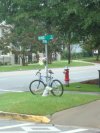 The memorial to Will with the backwards saddle